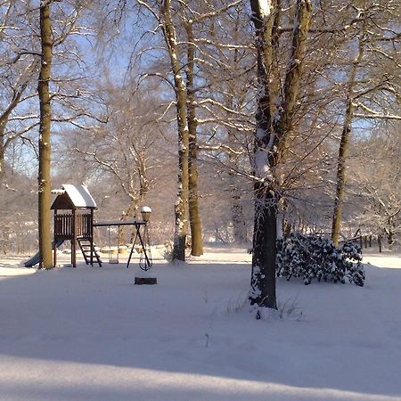 Отель Landgasthof Zur Heideschenke Wolthausen Удобства фото